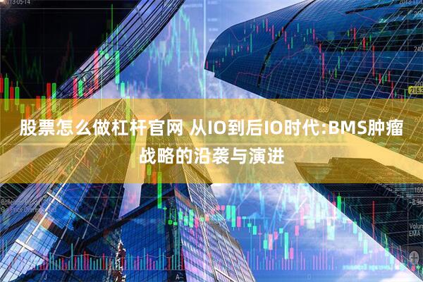 股票怎么做杠杆官网 从IO到后IO时代:BMS肿瘤战略的沿袭与演进