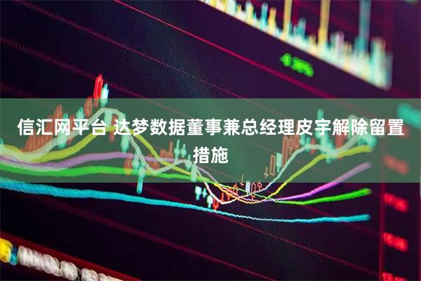 信汇网平台 达梦数据董事兼总经理皮宇解除留置措施