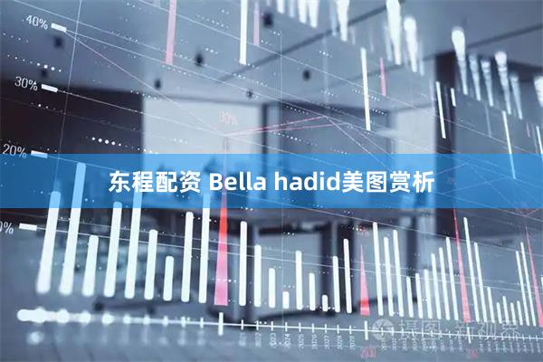 东程配资 Bella hadid美图赏析