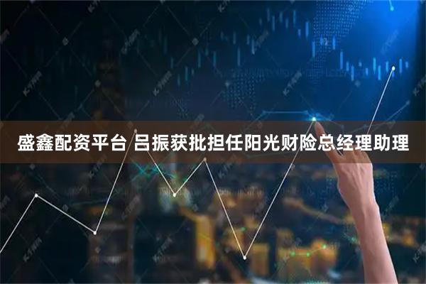 盛鑫配资平台 吕振获批担任阳光财险总经理助理